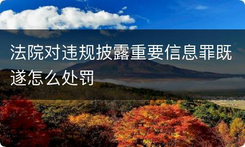 法院对违规披露重要信息罪既遂怎么处罚