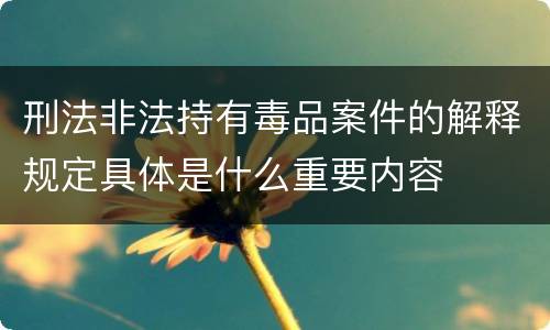 刑法非法持有毒品案件的解释规定具体是什么重要内容