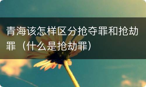 青海该怎样区分抢夺罪和抢劫罪（什么是抢劫罪）