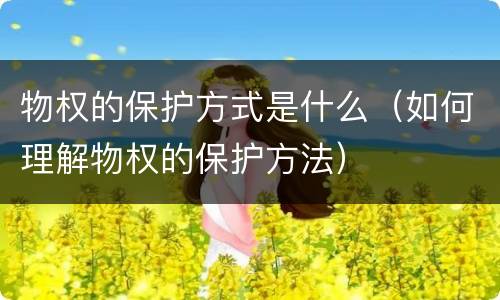 物权的保护方式是什么（如何理解物权的保护方法）