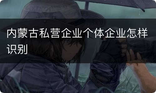内蒙古私营企业个体企业怎样识别