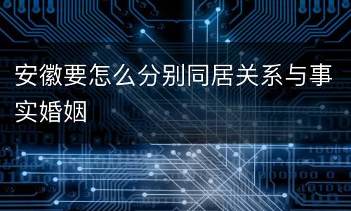 安徽要怎么分别同居关系与事实婚姻