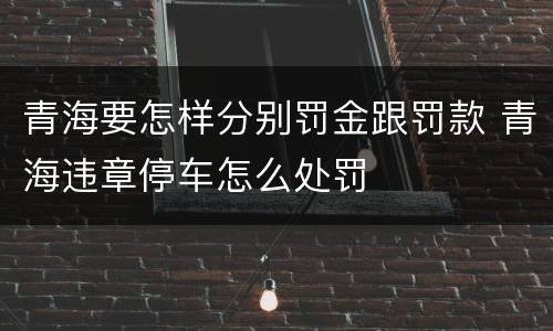 青海要怎样分别罚金跟罚款 青海违章停车怎么处罚