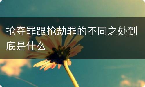 抢夺罪跟抢劫罪的不同之处到底是什么