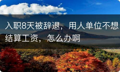 入职8天被辞退，用人单位不想结算工资，怎么办啊