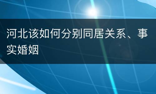 河北该如何分别同居关系、事实婚姻