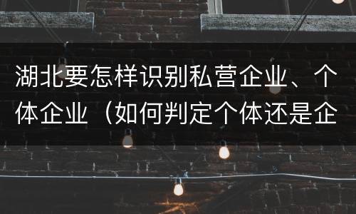 湖北要怎样识别私营企业、个体企业（如何判定个体还是企业）