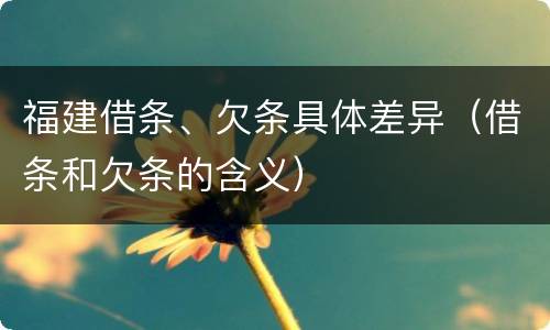 福建借条、欠条具体差异（借条和欠条的含义）
