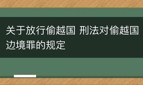 关于放行偷越国 刑法对偷越国边境罪的规定