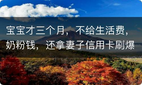 宝宝才三个月，不给生活费，奶粉钱，还拿妻子信用卡刷爆了，没有偿还