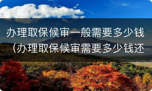 办理取保候审一般需要多少钱（办理取保候审需要多少钱还退吗）