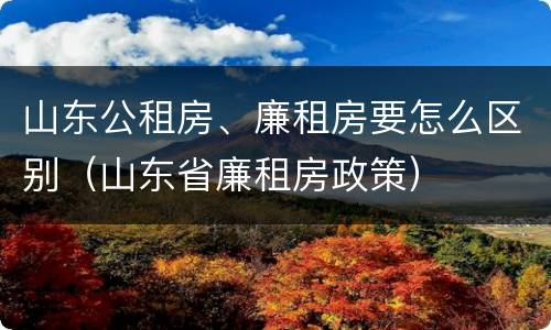 山东公租房、廉租房要怎么区别（山东省廉租房政策）