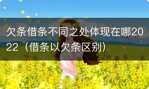 欠条借条不同之处体现在哪2022（借条以欠条区别）