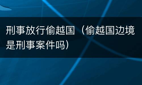 刑事放行偷越国（偷越国边境是刑事案件吗）