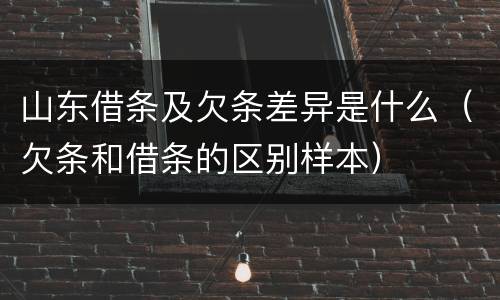 山东借条及欠条差异是什么（欠条和借条的区别样本）