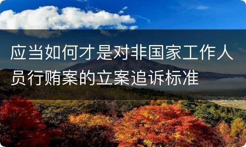 应当如何才是对非国家工作人员行贿案的立案追诉标准