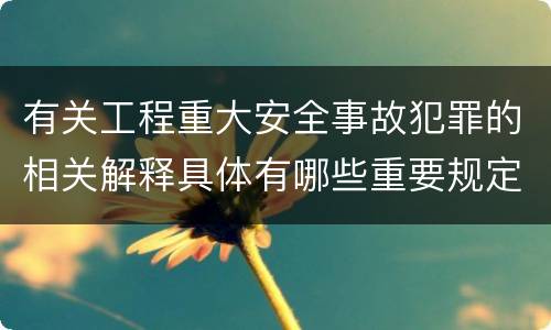 有关工程重大安全事故犯罪的相关解释具体有哪些重要规定