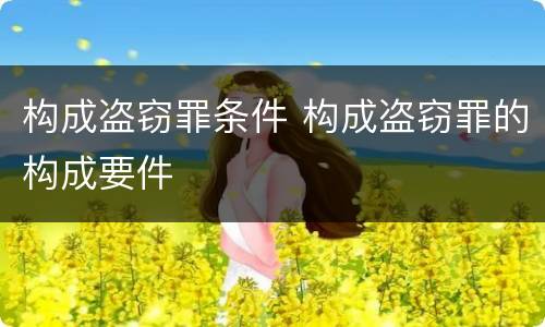 构成盗窃罪条件 构成盗窃罪的构成要件