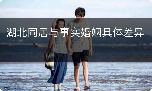 湖北同居与事实婚姻具体差异