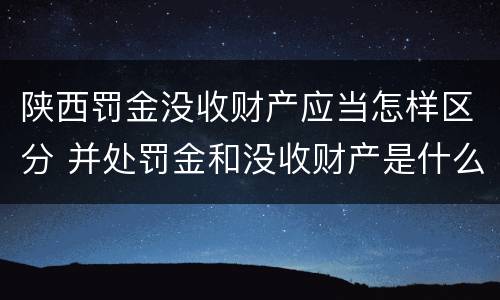 陕西罚金没收财产应当怎样区分 并处罚金和没收财产是什么意思