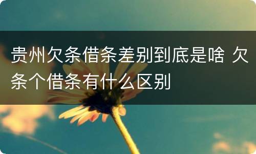 贵州欠条借条差别到底是啥 欠条个借条有什么区别