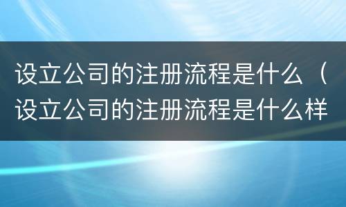 设立公司的注册流程是什么（设立公司的注册流程是什么样的）