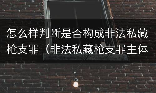 怎么样判断是否构成非法私藏枪支罪（非法私藏枪支罪主体）