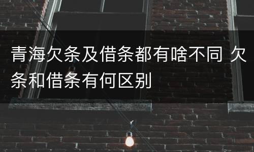 青海欠条及借条都有啥不同 欠条和借条有何区别