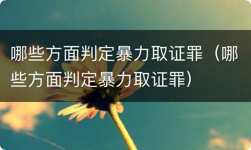 哪些方面判定暴力取证罪（哪些方面判定暴力取证罪）