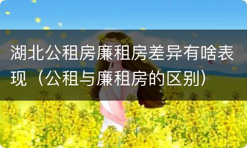 湖北公租房廉租房差异有啥表现（公租与廉租房的区别）