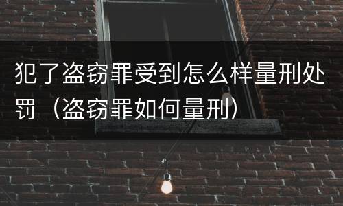 犯了盗窃罪受到怎么样量刑处罚（盗窃罪如何量刑）