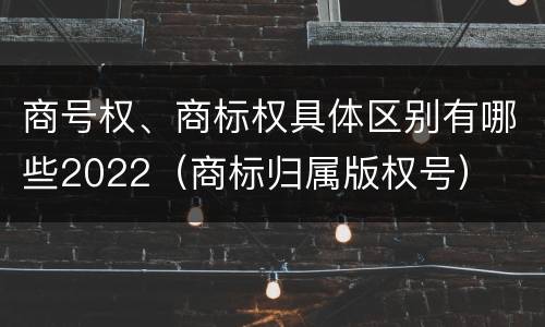 商号权、商标权具体区别有哪些2022（商标归属版权号）