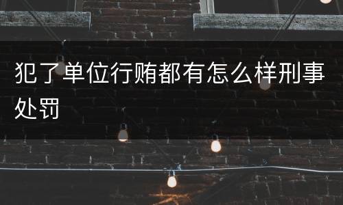 犯了单位行贿都有怎么样刑事处罚