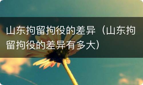 山东拘留拘役的差异（山东拘留拘役的差异有多大）