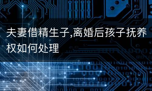 夫妻借精生子,离婚后孩子抚养权如何处理