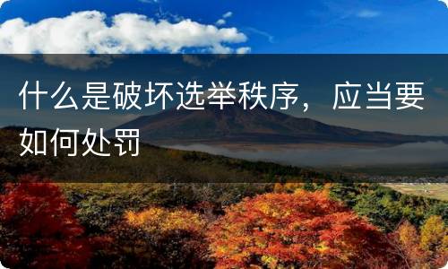什么是破坏选举秩序，应当要如何处罚