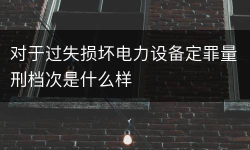 对于过失损坏电力设备定罪量刑档次是什么样