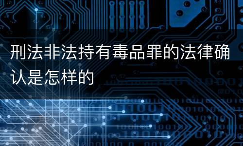 刑法非法持有毒品罪的法律确认是怎样的