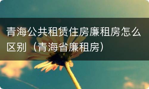 青海公共租赁住房廉租房怎么区别（青海省廉租房）