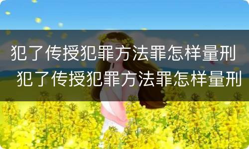 犯了传授犯罪方法罪怎样量刑 犯了传授犯罪方法罪怎样量刑