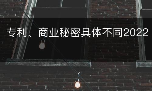 专利、商业秘密具体不同2022