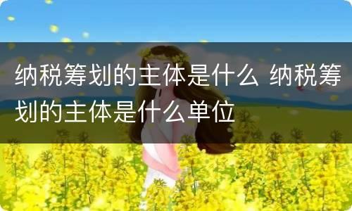 纳税筹划的主体是什么 纳税筹划的主体是什么单位