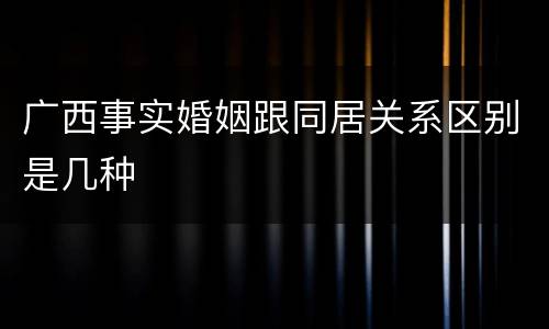 广西事实婚姻跟同居关系区别是几种