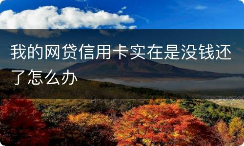 我的网贷信用卡实在是没钱还了怎么办
