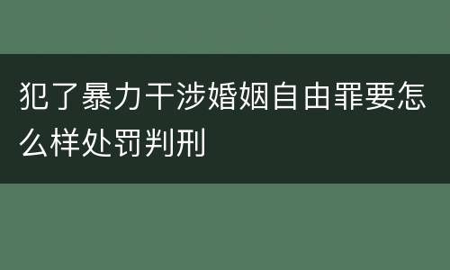 犯了暴力干涉婚姻自由罪要怎么样处罚判刑
