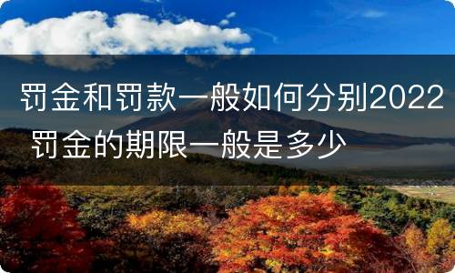 罚金和罚款一般如何分别2022 罚金的期限一般是多少