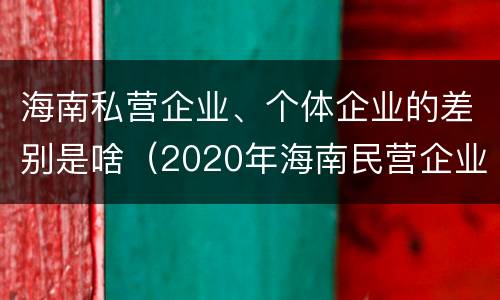 海南私营企业、个体企业的差别是啥（2020年海南民营企业100强）