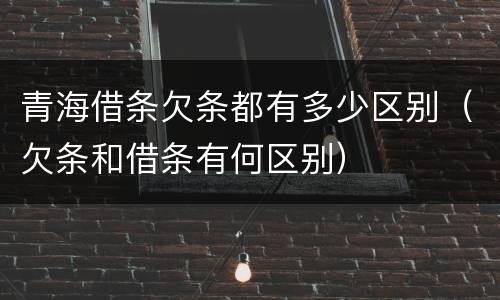 青海借条欠条都有多少区别（欠条和借条有何区别）