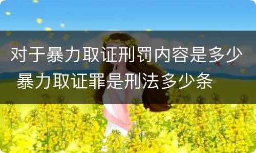 对于暴力取证刑罚内容是多少 暴力取证罪是刑法多少条