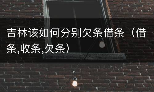吉林该如何分别欠条借条（借条,收条,欠条）